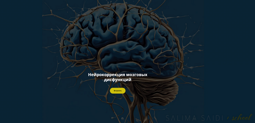 Салима Саиди Нейрокоррекция мозговых дисфункций. Ноябрь 2024 слив курса