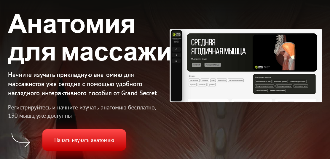 Максим Волков Grand Secret Анатомия для массажиста. Тариф Для профи 2024 слив курса