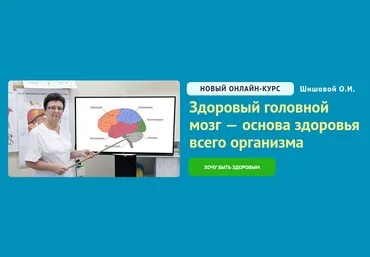 Ольга Шишова Здоровый головной мозг — основа здоровья всего организма 2024 слив