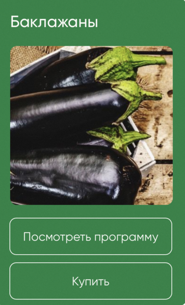 Школа нетипичного фермера Анна Акинина — Баклажаны 2024 слив курса