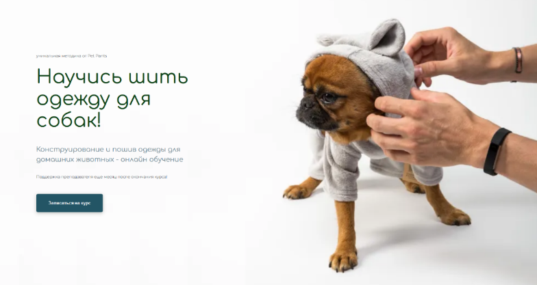 Антонина Баранова Pet Pants Шитье Конструирование и пошив одежды для домашних животных 2022 слив курса