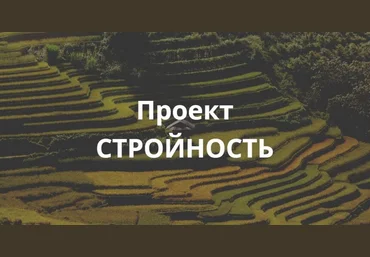 Елена Суханова Проект «Стройность». Тариф Эконом 2025 слив