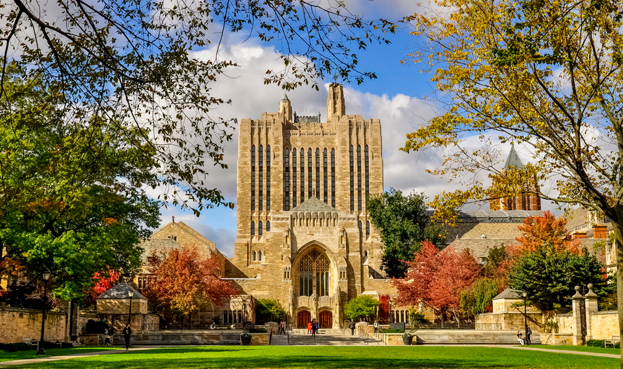 Yale University Введение в психологию. Лекции Йельского Университета Часть 3 из 10 слив курса
