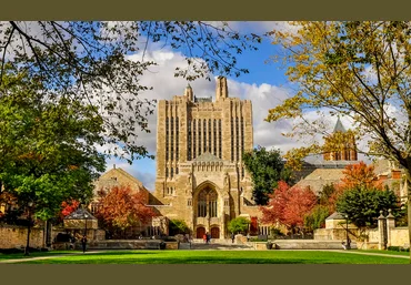 Yale University Введение в психологию. Лекции Йельского Университета Часть 6 из 10 слив