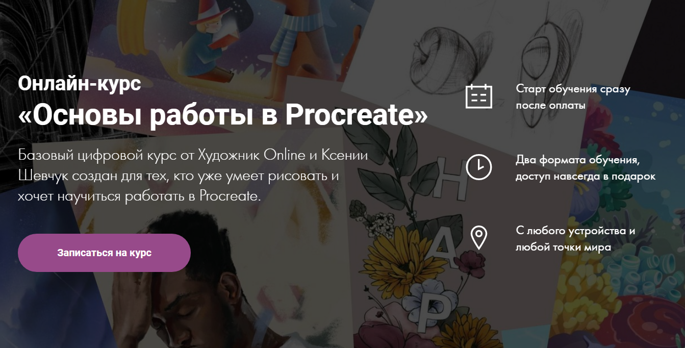 Художник Online Ксения Шевчук Основы работы в Procreate 2020 слив курса