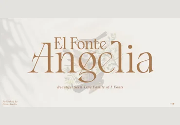 Myfonts El Fonte Angelia Font 2022 слив