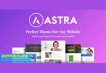 Astra+Astra Pro - Perfect Theme For Any Website + Pro Addon скачать слив