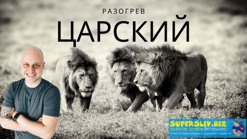 Дмитрий Коренко Царский разогрев 2020 слив курса