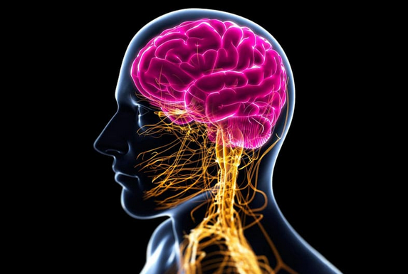 Ульвия Голденбрук Центр Шерома Исцеление нервной системы с помощью аромамедицины 2022 слив курса