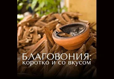 Анна Зворыкина Благовония: коротко и со вкусом 2024 слив