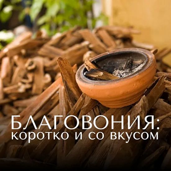 Анна Зворыкина Благовония: коротко и со вкусом 2024 слив курса