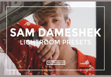 Пресеты от фотографа Sam Dameshek - Lightroom Presets слив
