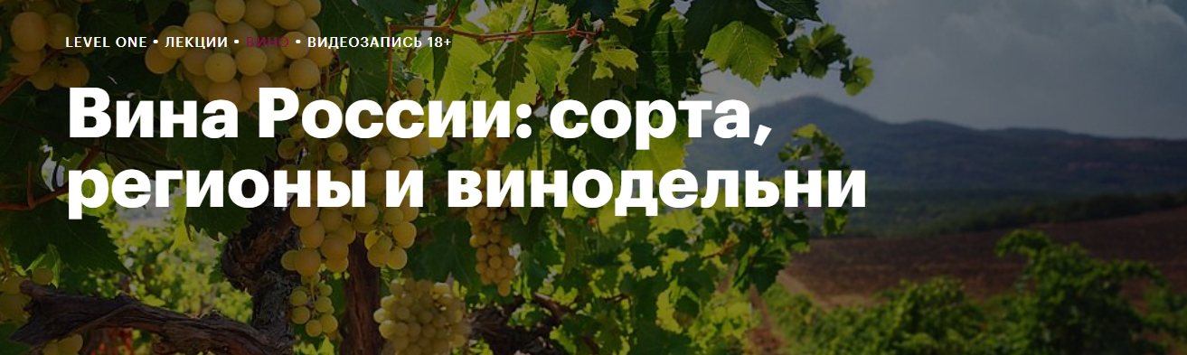 Level One Николай Дедин ― Вина России: сорта, регионы и винодельни 2024 слив курса