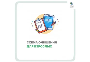 Людмила Есина Схема очищения для взрослых 2021 слив