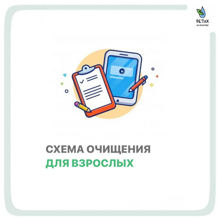 Людмила Есина Схема очищения для взрослых 2021 слив курса