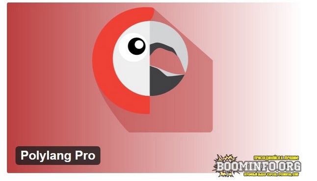 polylang Polylang Pro v3.1.1 - плагин перевода WordPress 2021 слив курса