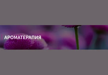ФитоВеда Юлия Коршикова - Пакет курсов Аромотерапия 2019 слив