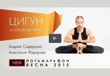 8 отрезов парчи - Сидерский 2015 слив