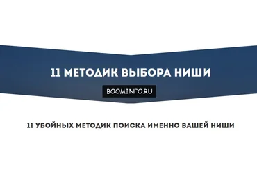 11 убойных методик поиска именно вашей ниши 2017 - Андрей Родионов слив