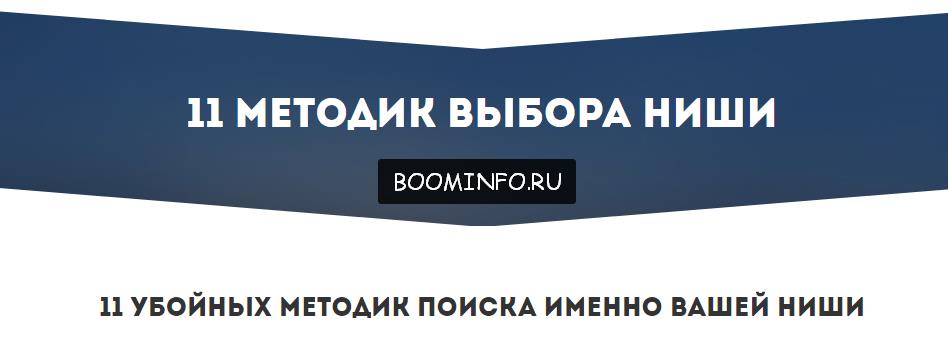 11 убойных методик поиска именно вашей ниши 2017 - Андрей Родионов слив курса