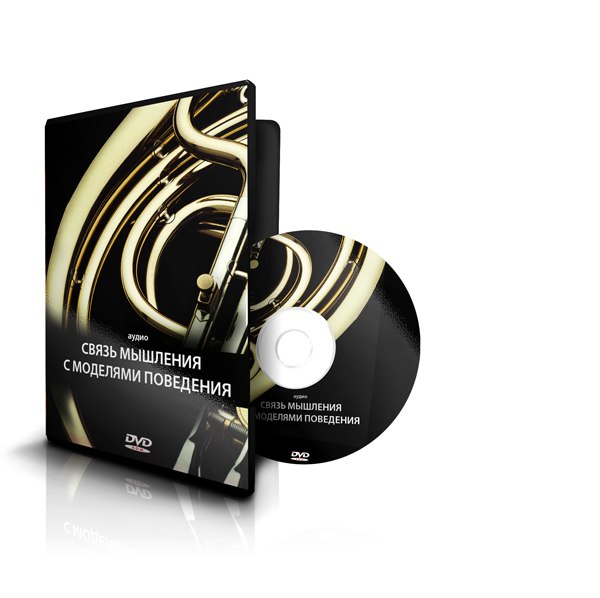 Связь мышления с моделями поведения - Меньшикова К. 2011 слив курса