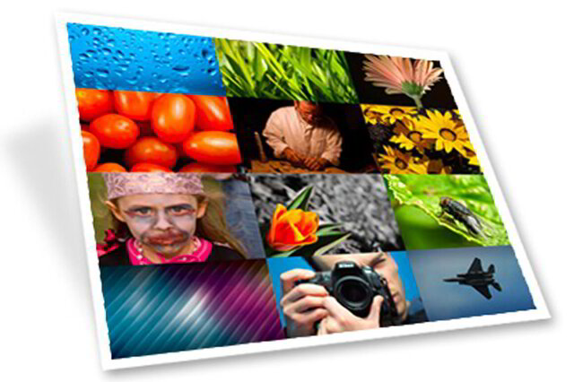 Bundlestorm 1700 Stock Images слив курса