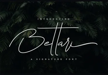Creativefabrica Bettari Font 2021 слив