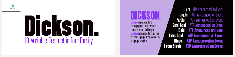 Myfonts Dickson Font Family 2022 слив курса