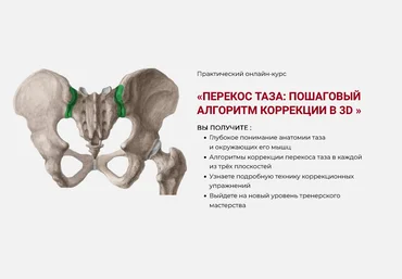 Дмитрий Семёнов Перекос таза: Пошаговый алгоритм коррекции в 3D 2025 слив