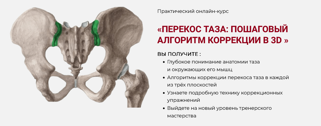 Дмитрий Семёнов Перекос таза: Пошаговый алгоритм коррекции в 3D 2025 слив курса