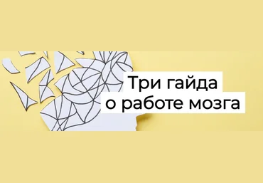 Елена Иванова Humberto.2.0 Три гайда о работе мозга 2025 скачать слив