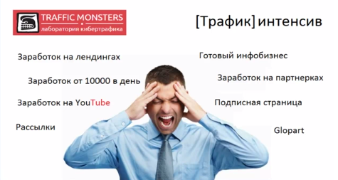 Traffic Monsters. Интенсив от Владимира Жукова слив курса