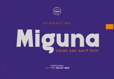 Creativefabrica Miguna Font 2021 слив