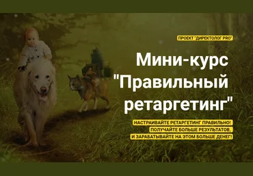 Михаил Сабанин Мини-курс «Правильный ретаргетинг» 2020 слив