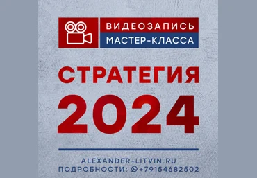 Александр Литвин Стратегия 2024 слив