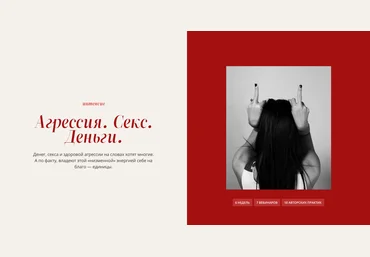 Татьяна Фишер Агрессия. Секс. Деньги 2023 скачать слив