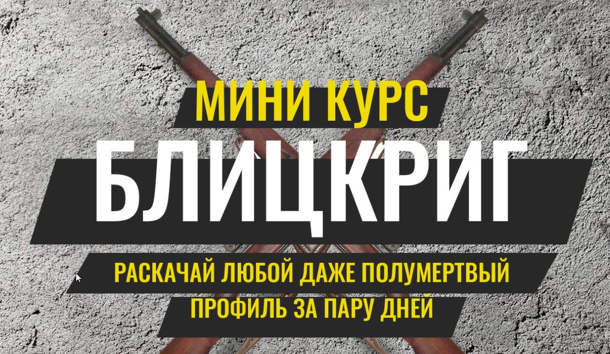 Pro SMM Миникурс Блицкриг 2020 слив курса