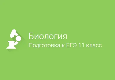 Фоксфорд Биология подготовка к ЕГЭ 11 класс слив