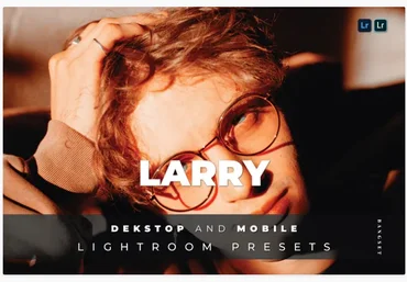 Elements.Envato Larry Desktop and Mobile Lightroom Preset 2021 слив