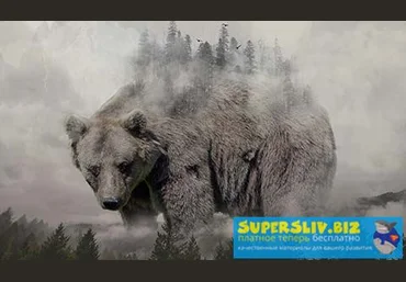 Александр Сераков Adobe Photoshop СС. Инструменты дизайнера 2019 слив