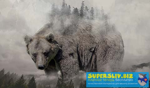 Александр Сераков Adobe Photoshop СС. Инструменты дизайнера 2019 слив курса