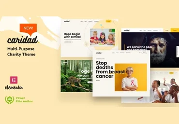 Themeforest Caridad v2.1 NULLED - тема благотворительности WordPress 2021 слив