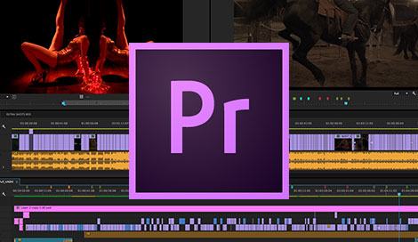 Профессиональный видеомонтаж в программе Adobe Premiere Pro CC Часть II – работа с видеоэффектами слив курса