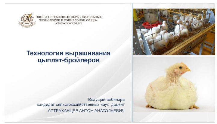Антон Астраханцев Технологии выращивания цыплят-бройлеров 2023 слив курса