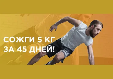 Программа Тренировок: Энергетика - Фабер. YOUGIFTED 2017 слив