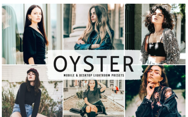 Elements.Envato Oyster Mobile & Desktop Lightroom Presets 2021 слив курса