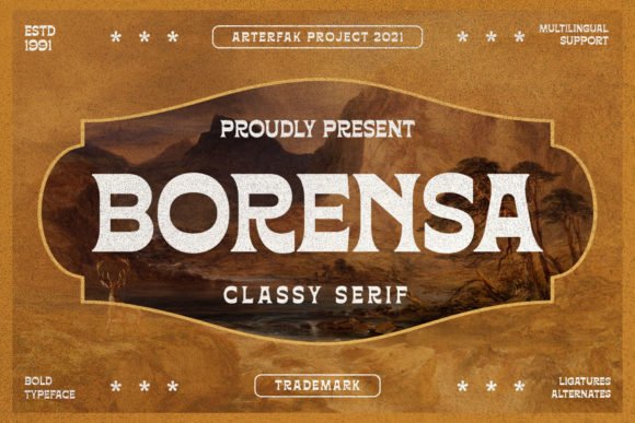 Creativefabrica Borensa Font 2021 слив курса