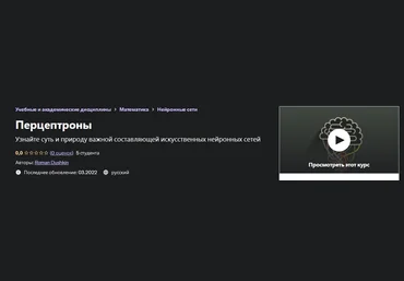 Roman Dushkin Udemy Перцептроны 2022 слив