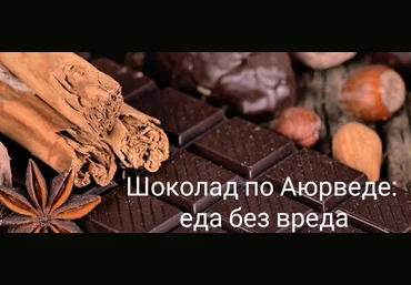 Елена Левицкая Школа здорового питания Шоколад по Аюрведе: еда без вреда 2022 слив