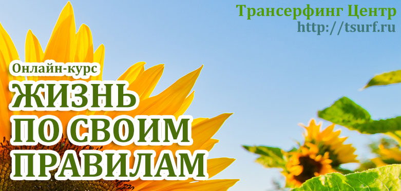 Жизнь по своим правилам - Васина 2015 слив курса